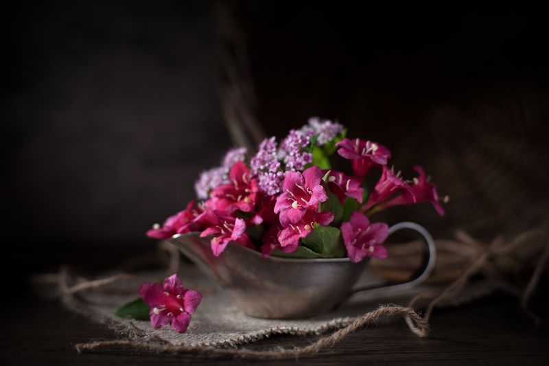 цветы, лето, солнце *** фото превью