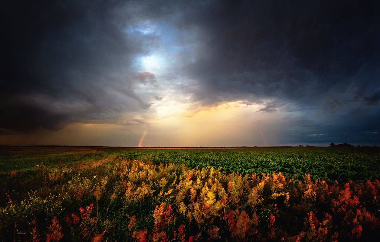 Беларусь, Серж Домбровский