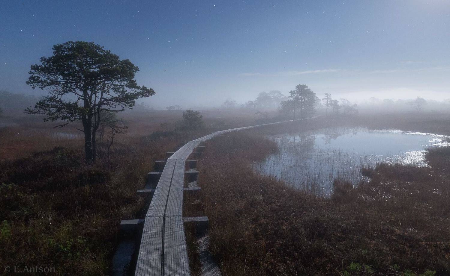 пейзаж, природа, болото, эстония, туман, ночь, ночь на болоте, elvis antson, Antson Elvis