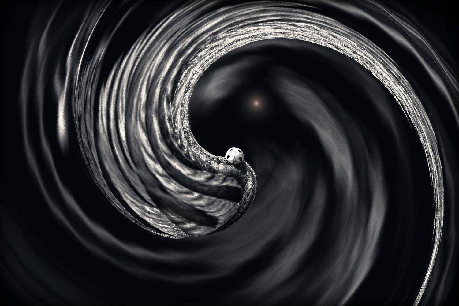 creative, креатив, концепция, коллаж, обработка, creative, conceptual, collage, fineart, hopefulness, hope, Дмитрий Салтыков