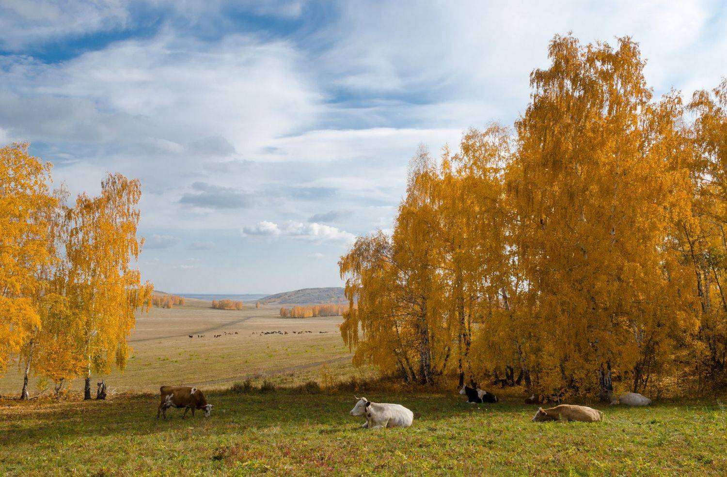 , Шустиков Дмитрий