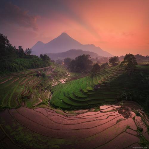 Trawas