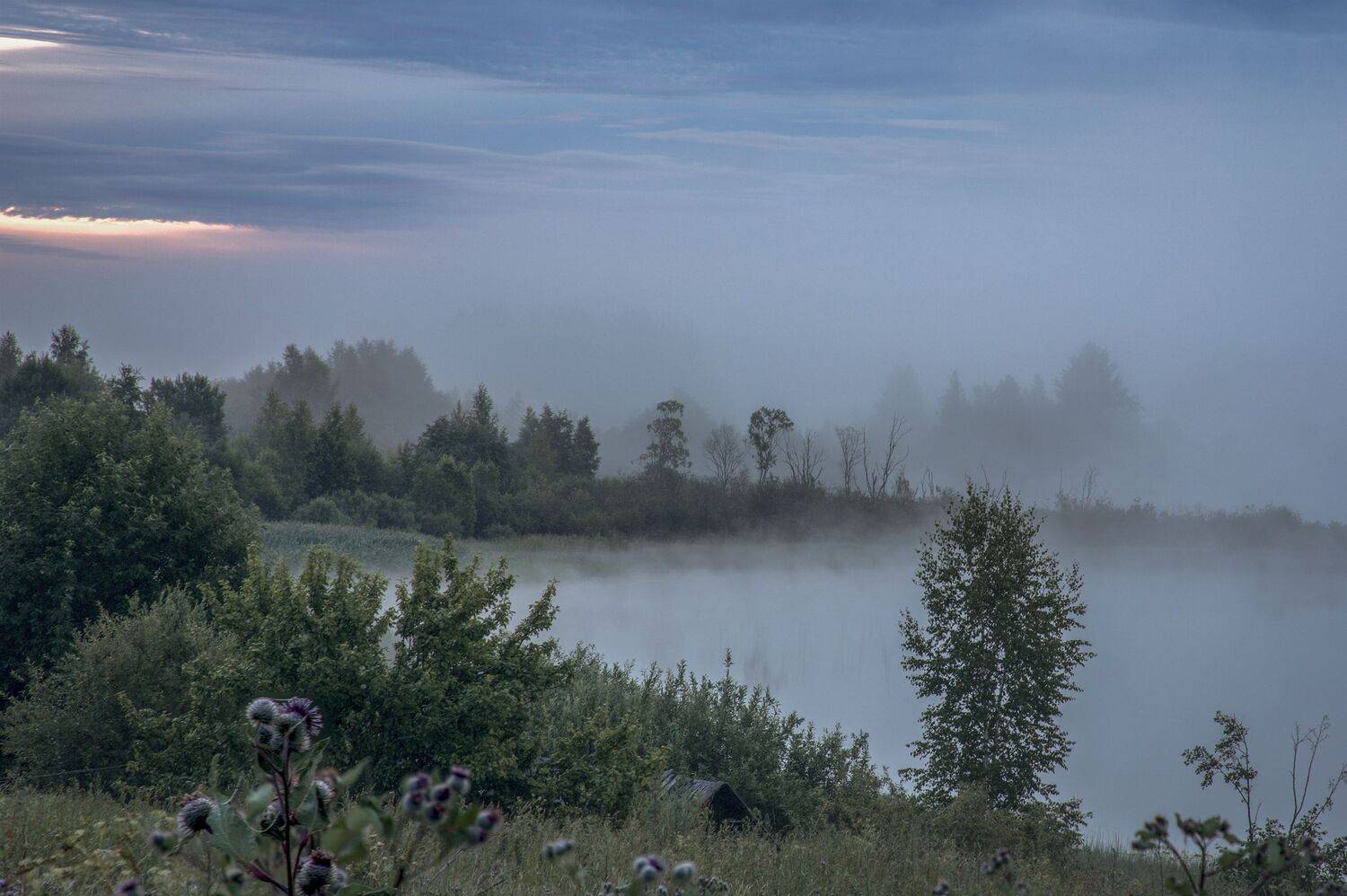 Тверская область, Гусева Елена