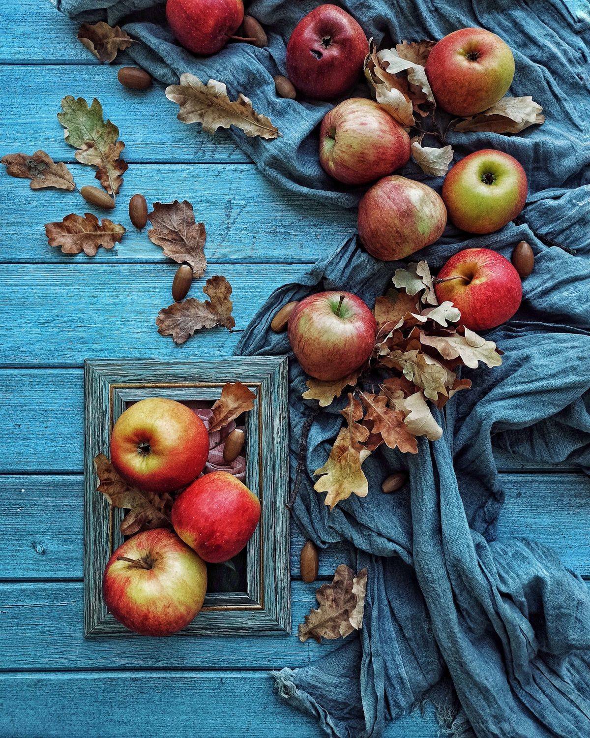 , Дина Полухина