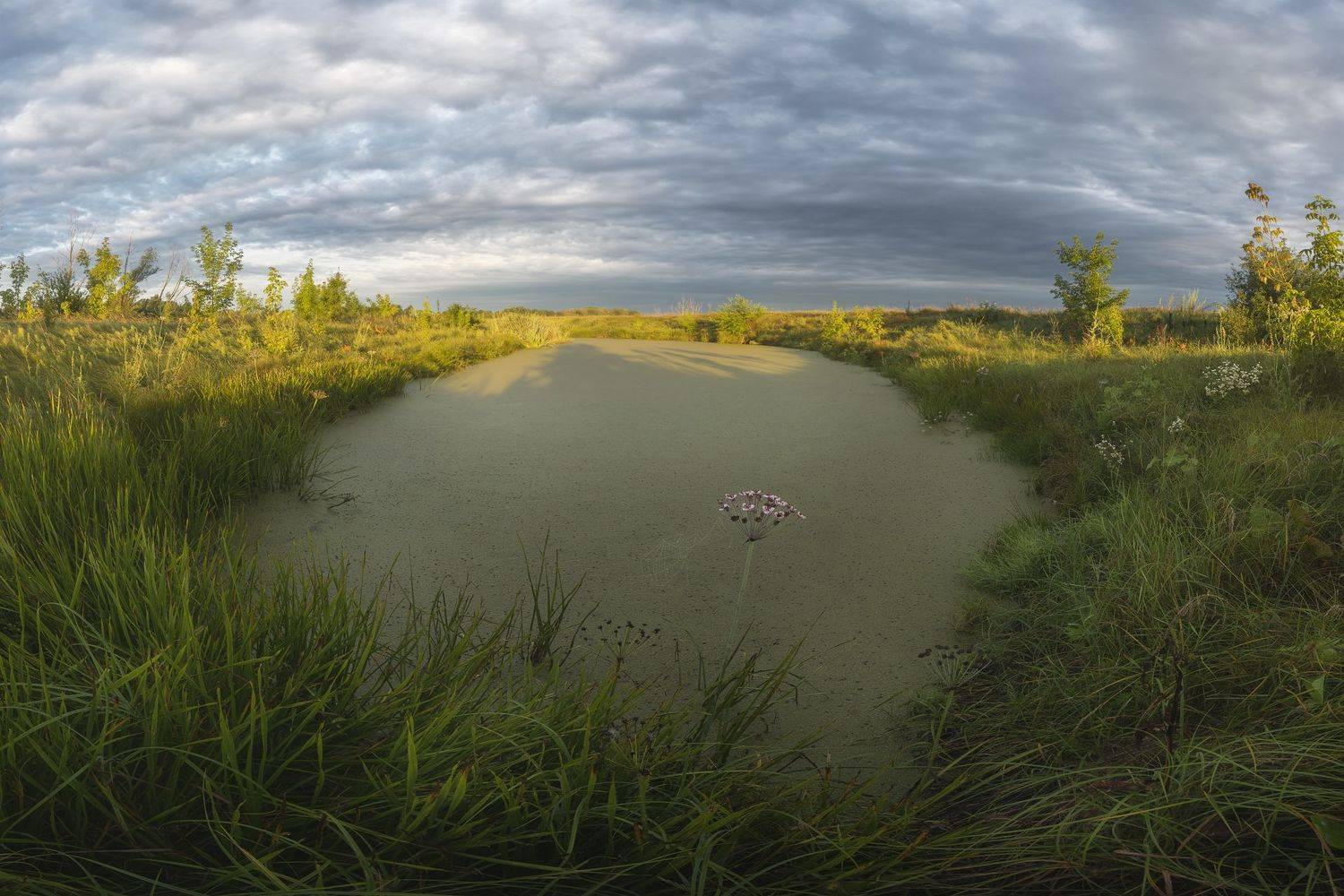 пейзаж полтава великие сорочинцы, Alexander Dvorichanskiy