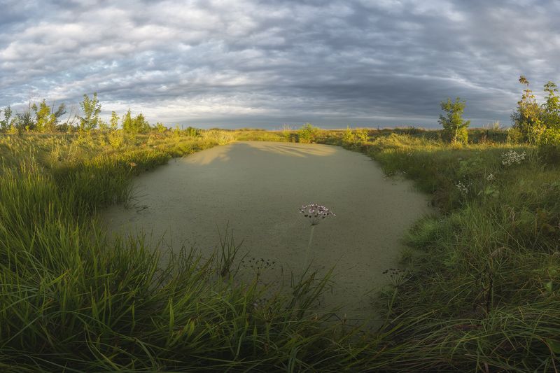 пейзаж полтава великие сорочинцы Клумба на болотах фото превью