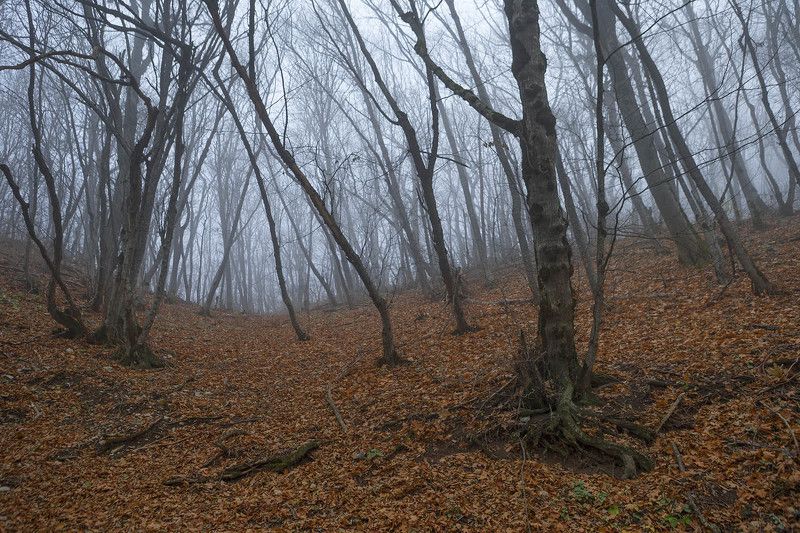 Машук фото превью