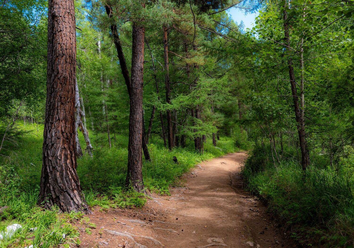 , Сергей Брагин