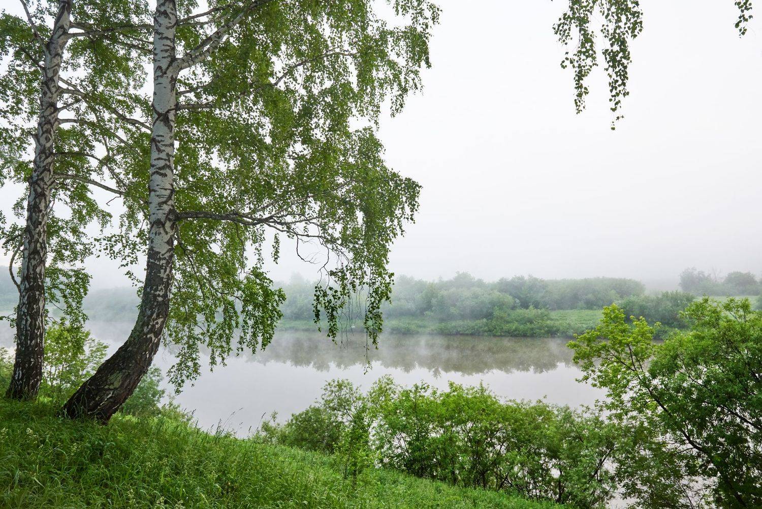 , Сергей Романчук