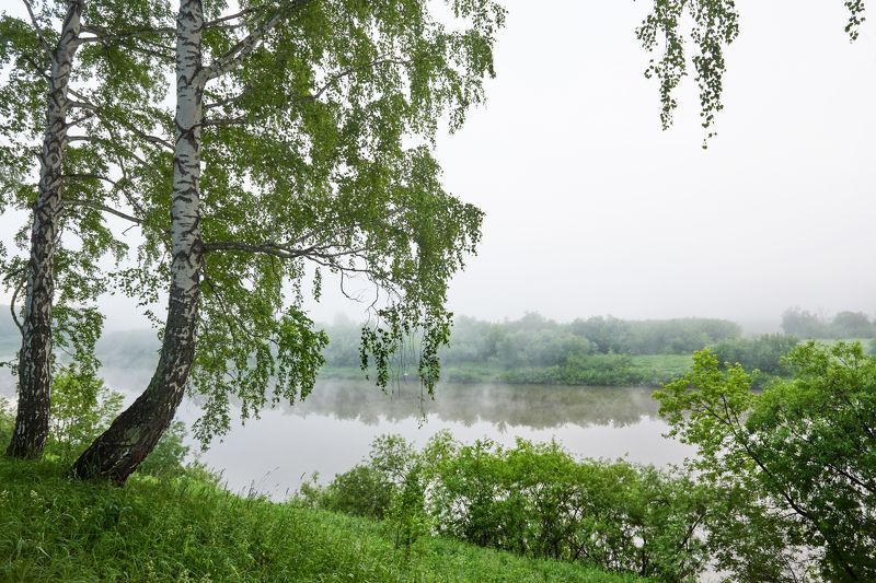 Там, за туманами... фото превью