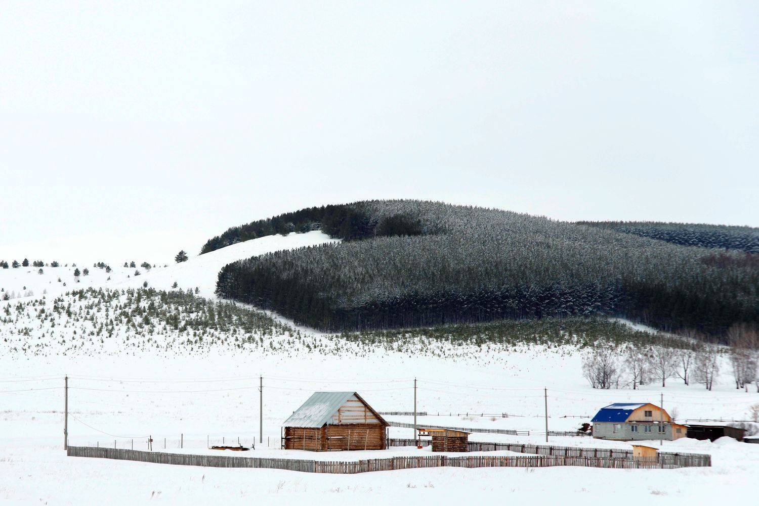 , Ольга Беккер