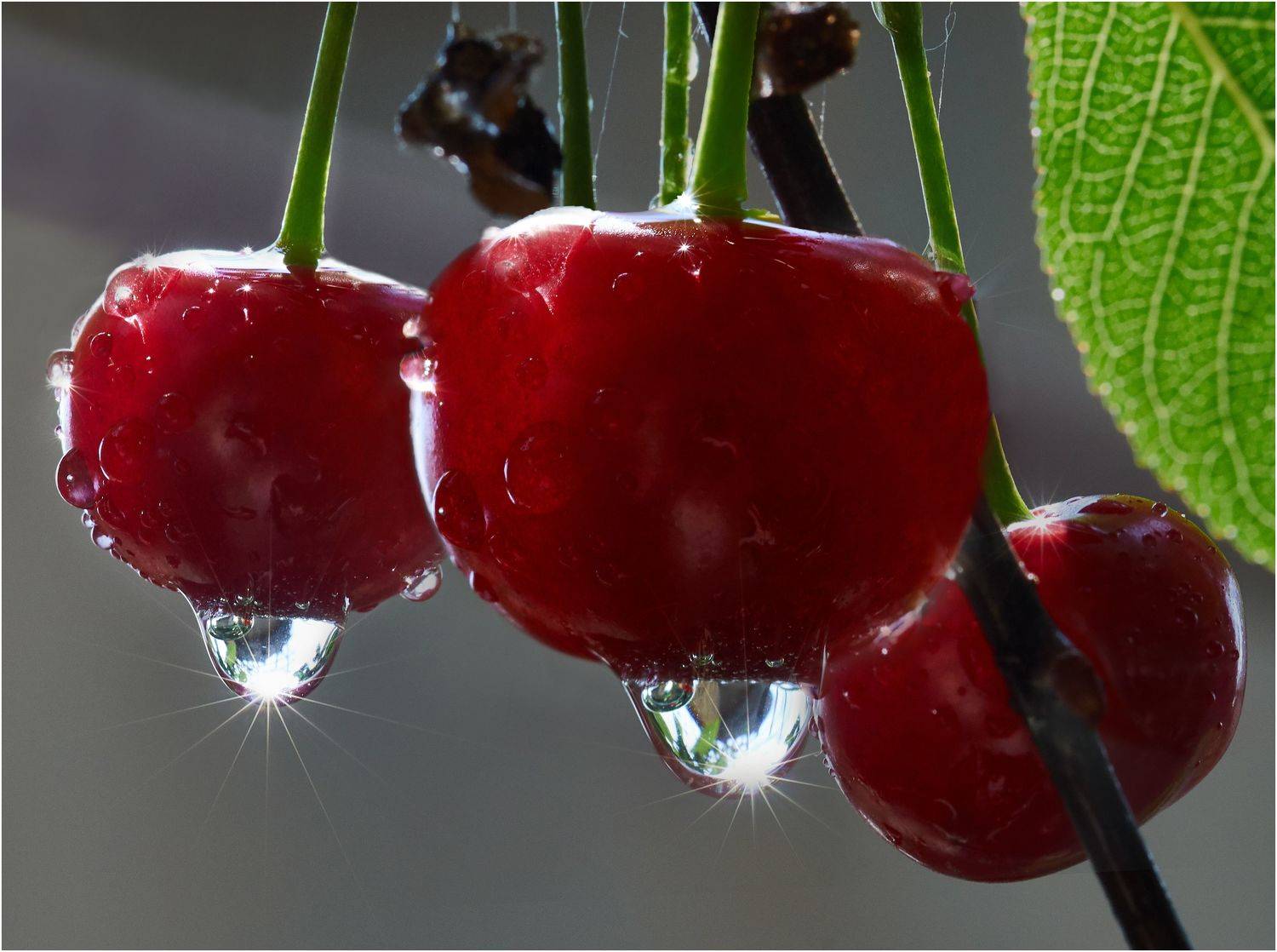 , Владимир Краснов