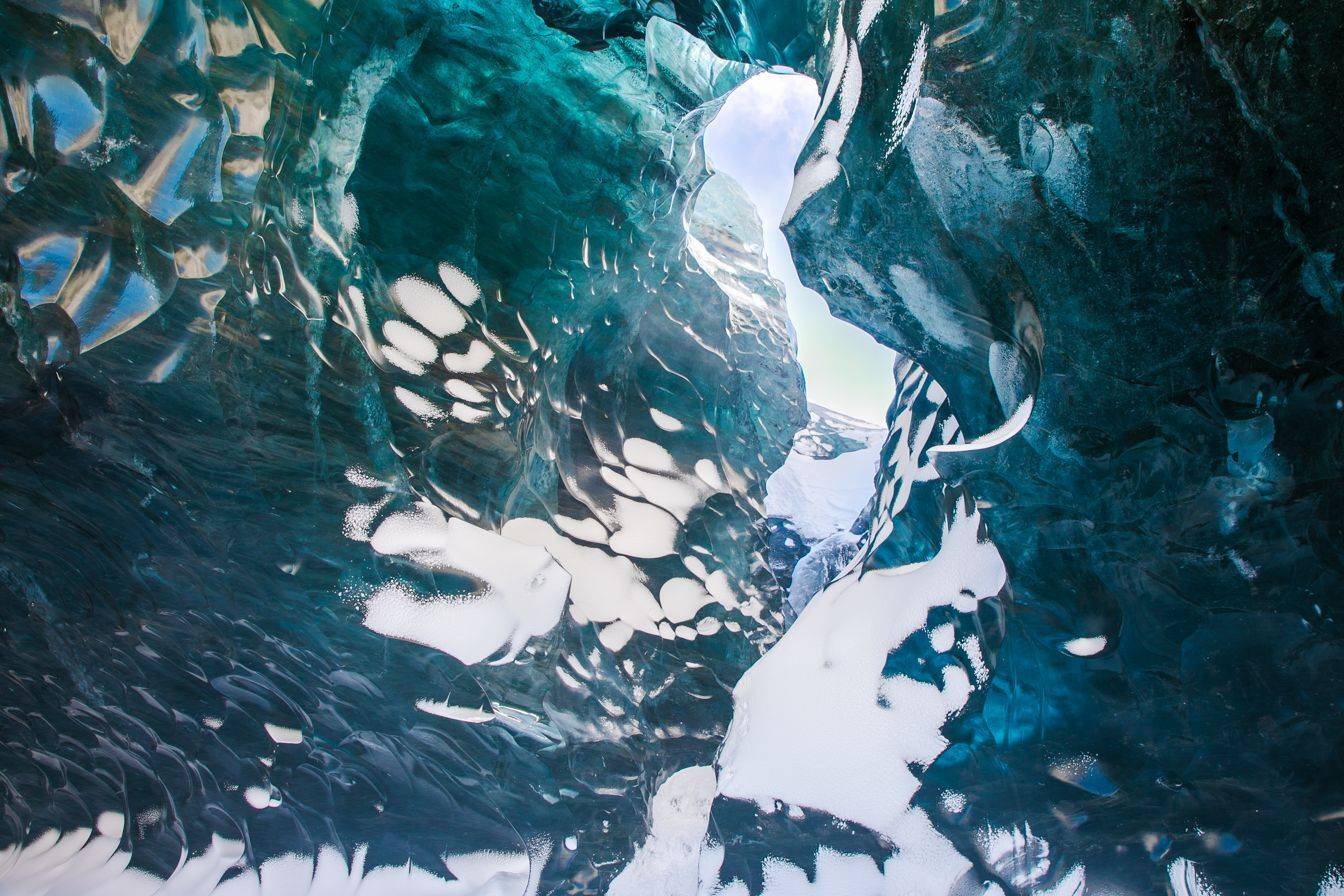 , Евгения Чех