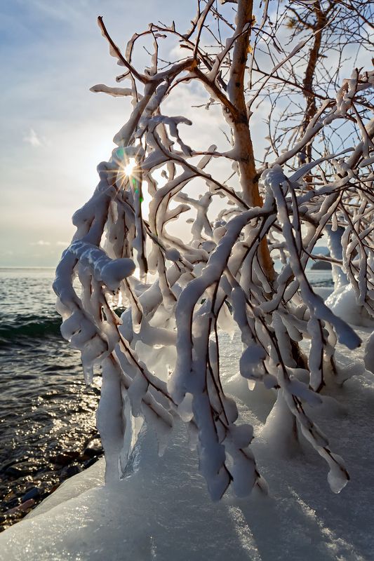 В декабре фото превью