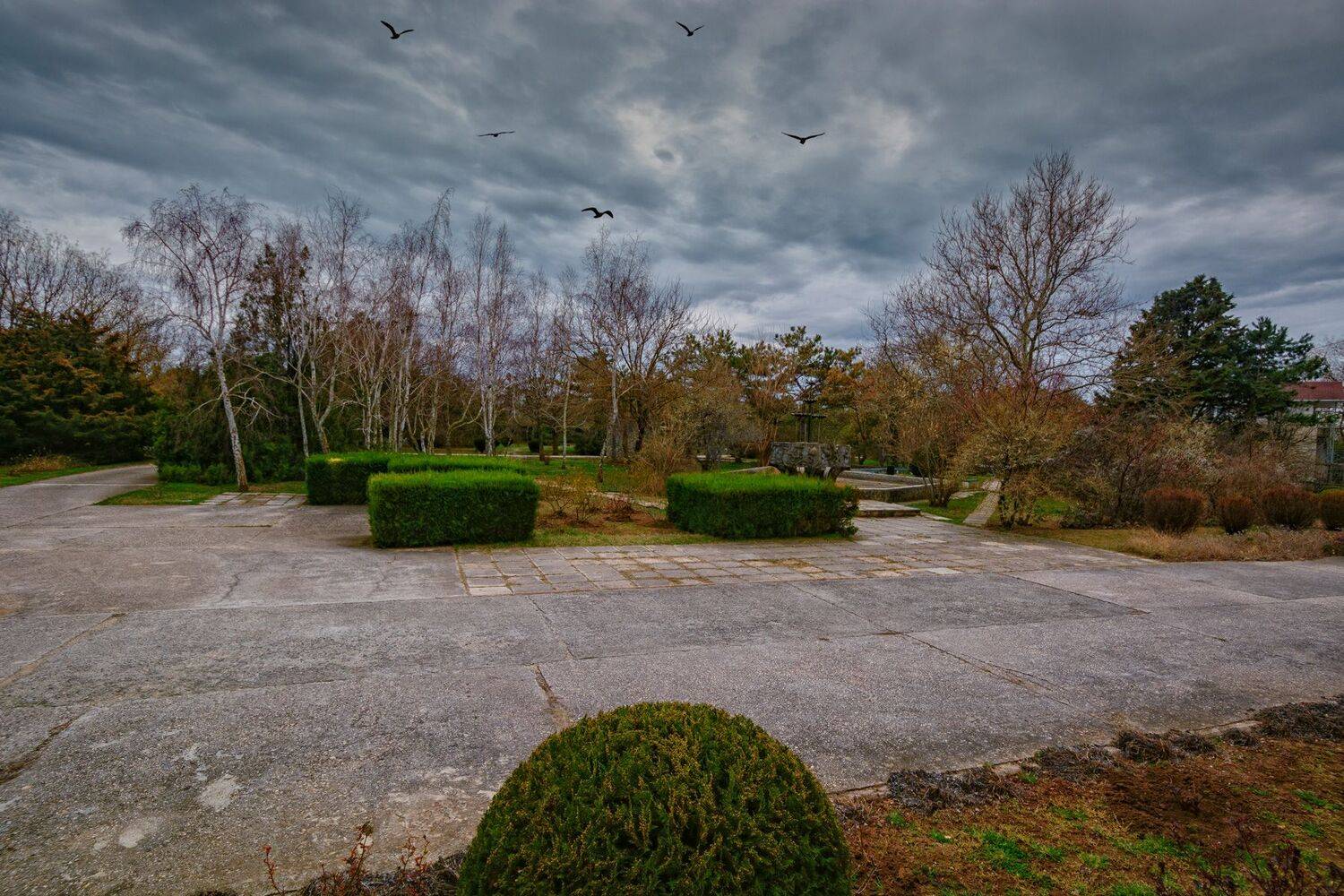 , Владимир Гамаюнов