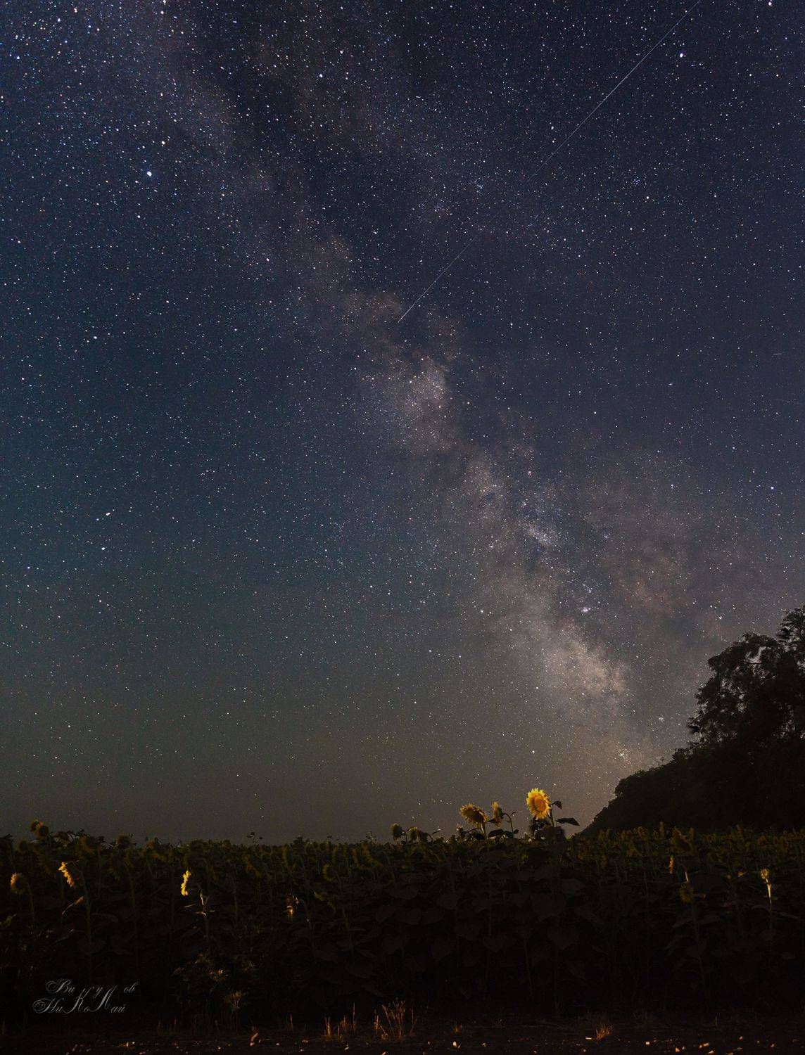 , Викулов Николай