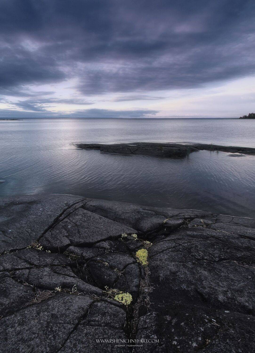 закат, ладожское озеро, берег, горизонт, валаам, Пшеничный Андрей