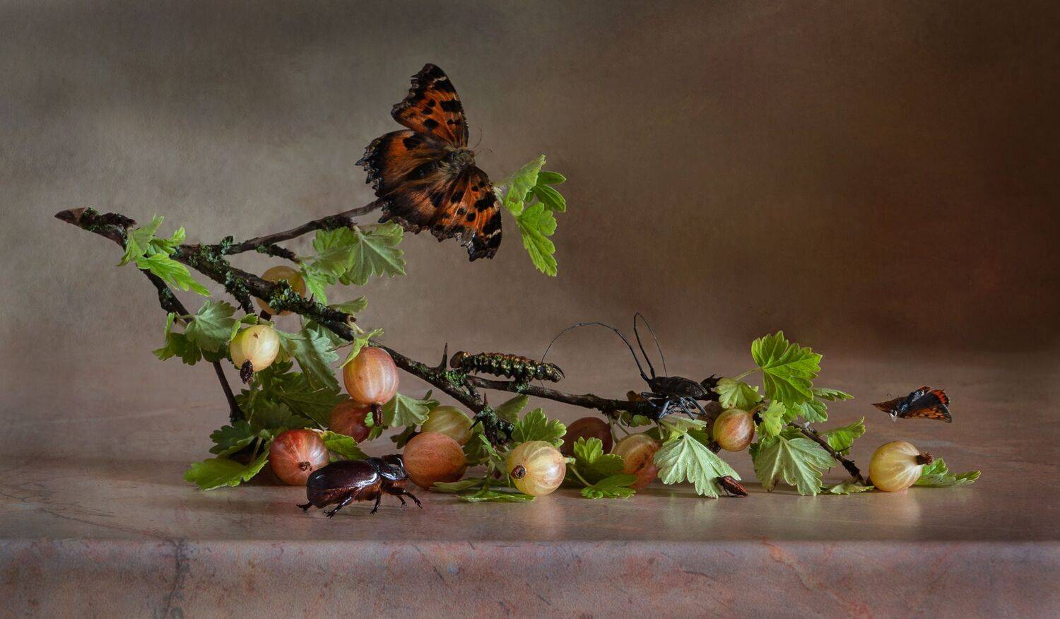 ветка крыжовник, бабочки, жучки, гусеница,июль, лето,, Галина Тришина