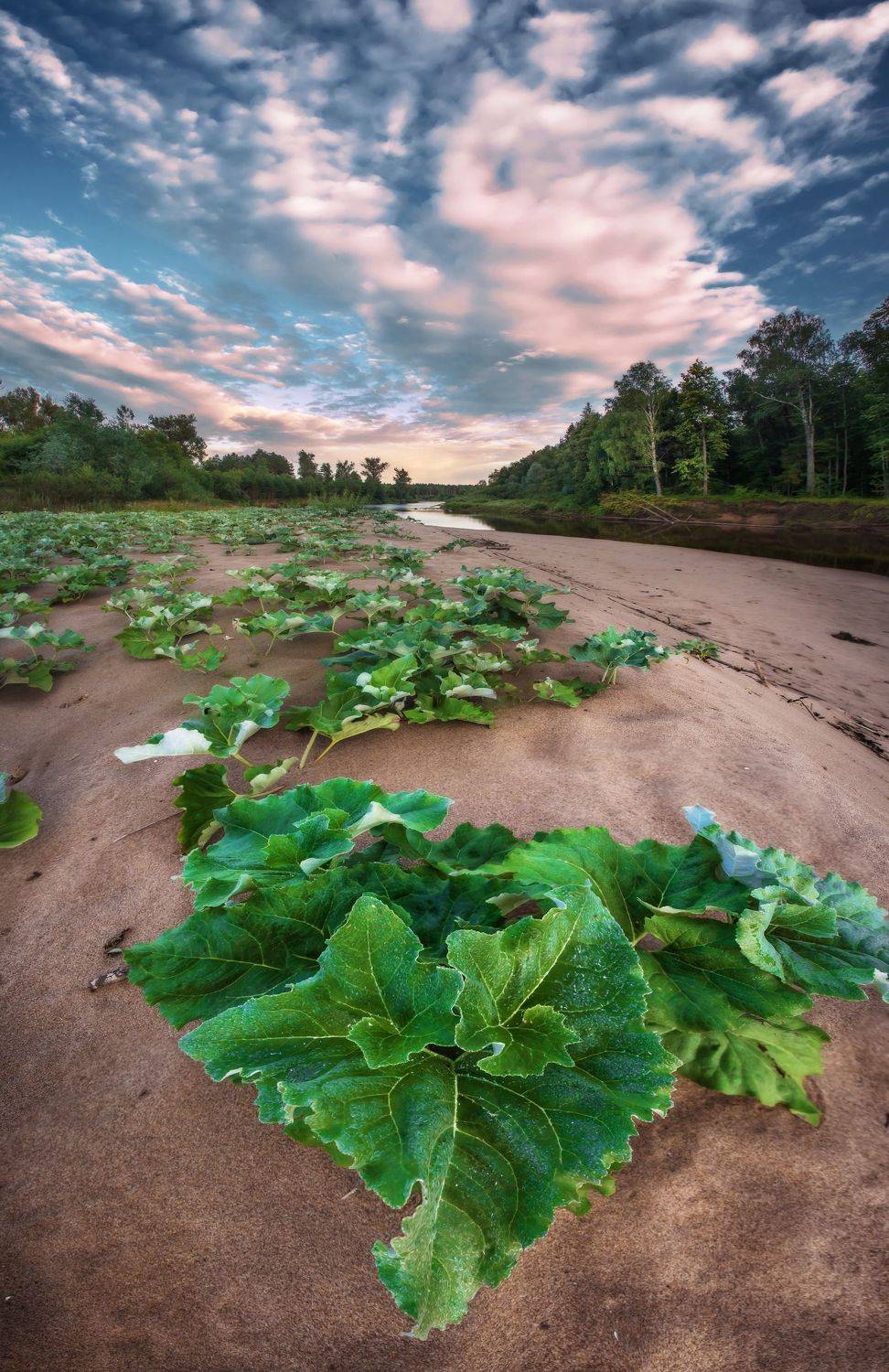 , Vyacheslav Lozhkin