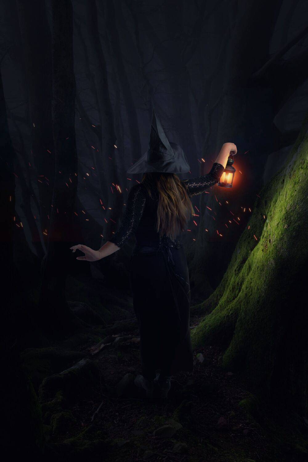 лес, колдунья, Sergii Vidov