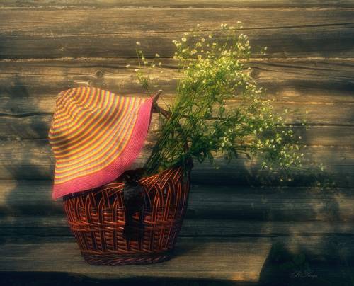 Летний вечер