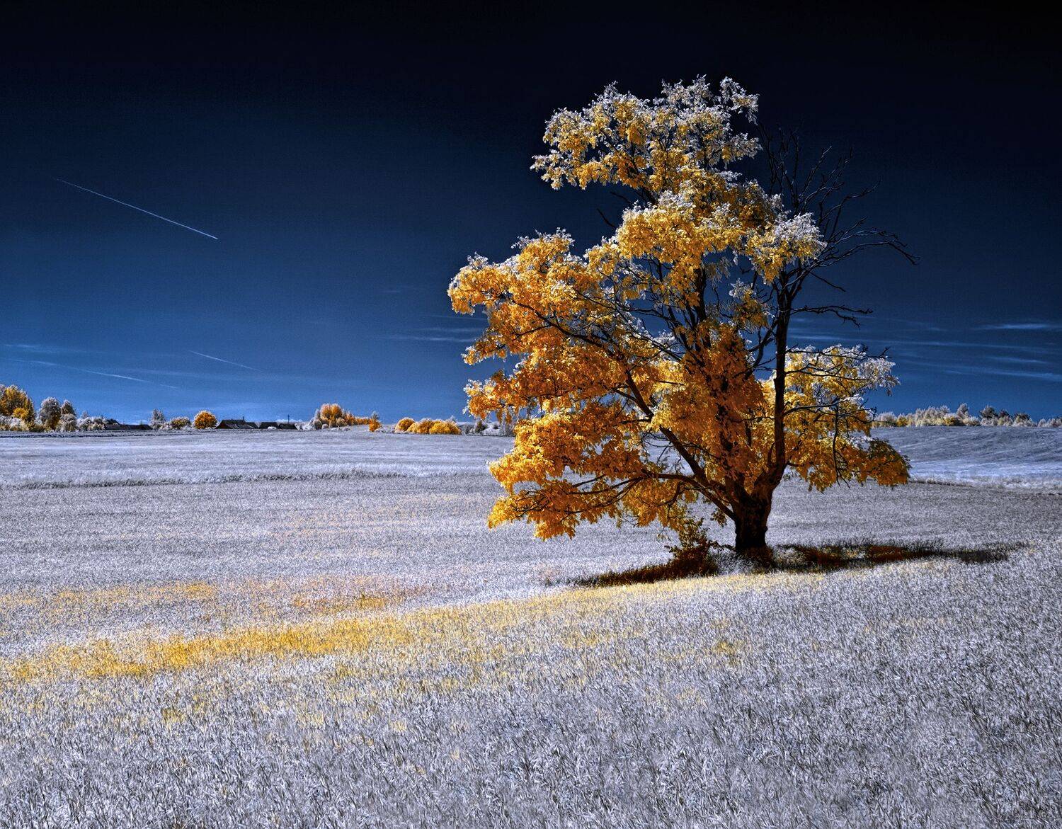 infrared,ик-фото,инфракрасное фото, инфракрасная фотография, пейзаж, лето,  Sixten (Сергей)
