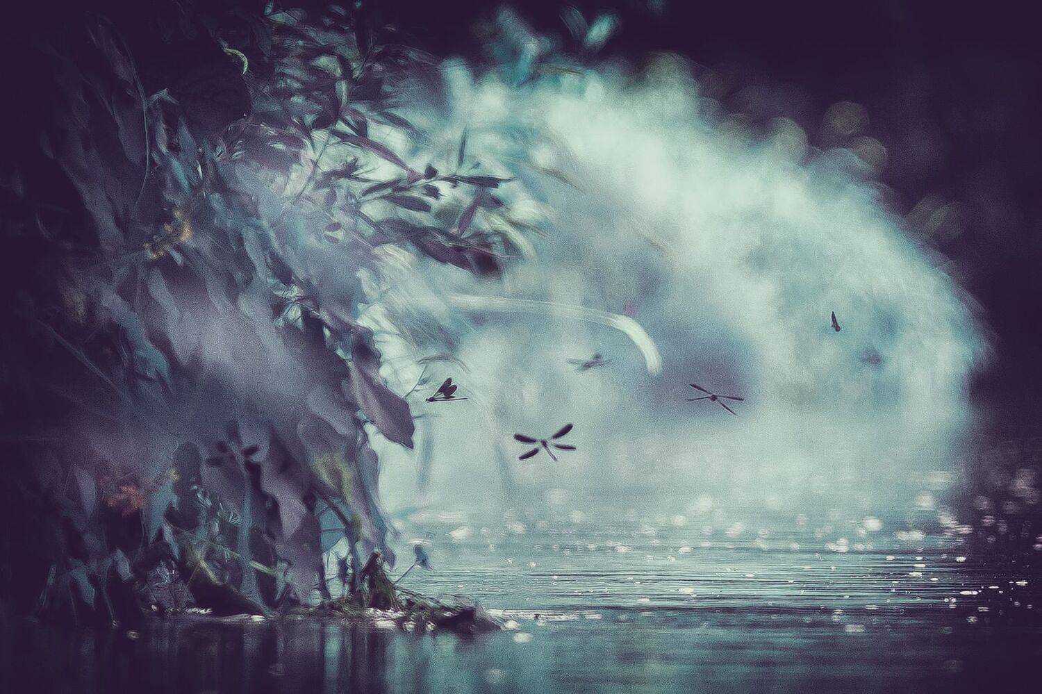 , Кузнецов Дмитрий