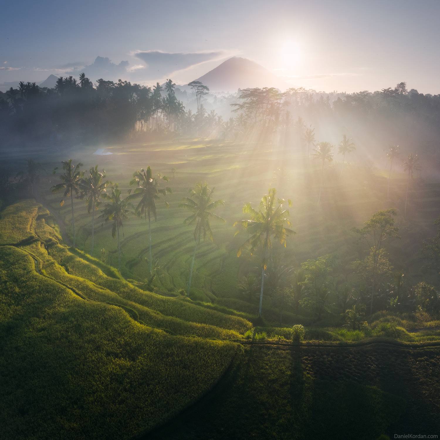 Bali, Даниил Коржонов