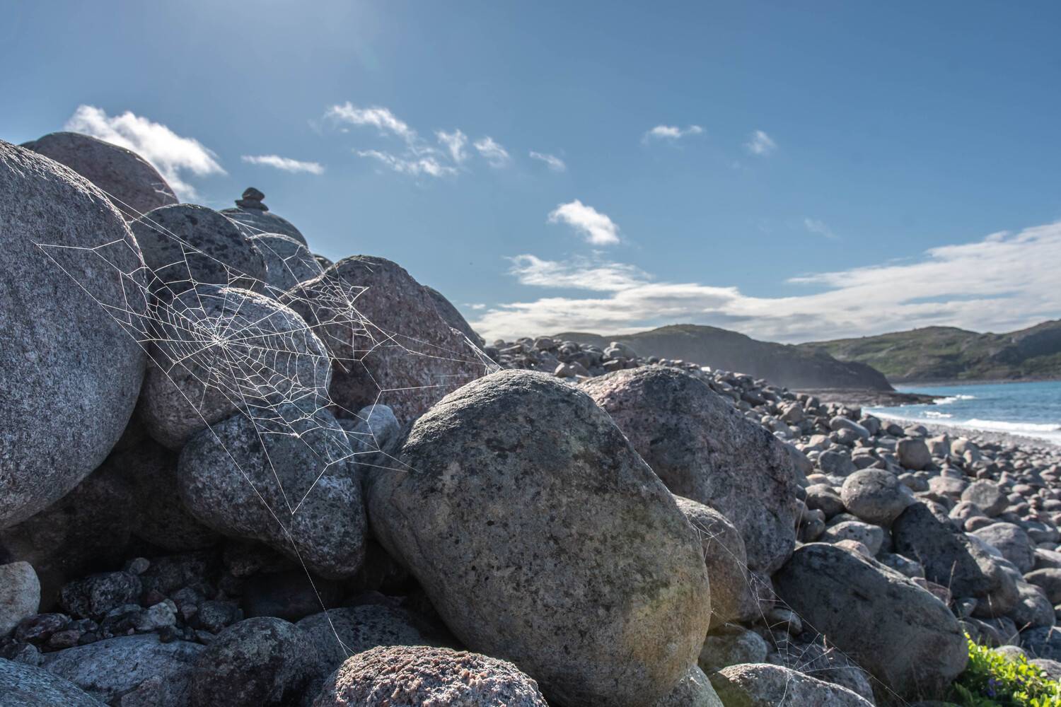 , Сергей Каверин