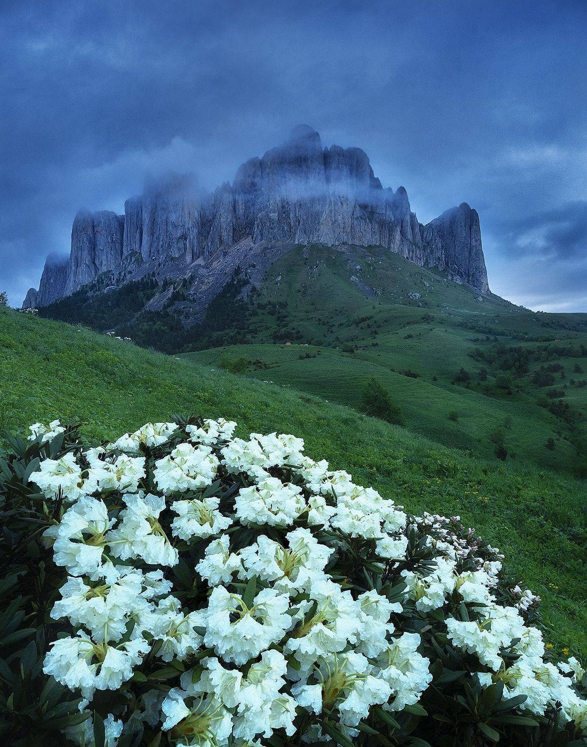 , Андрей Родионов