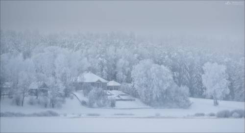 О морозной тишине ..