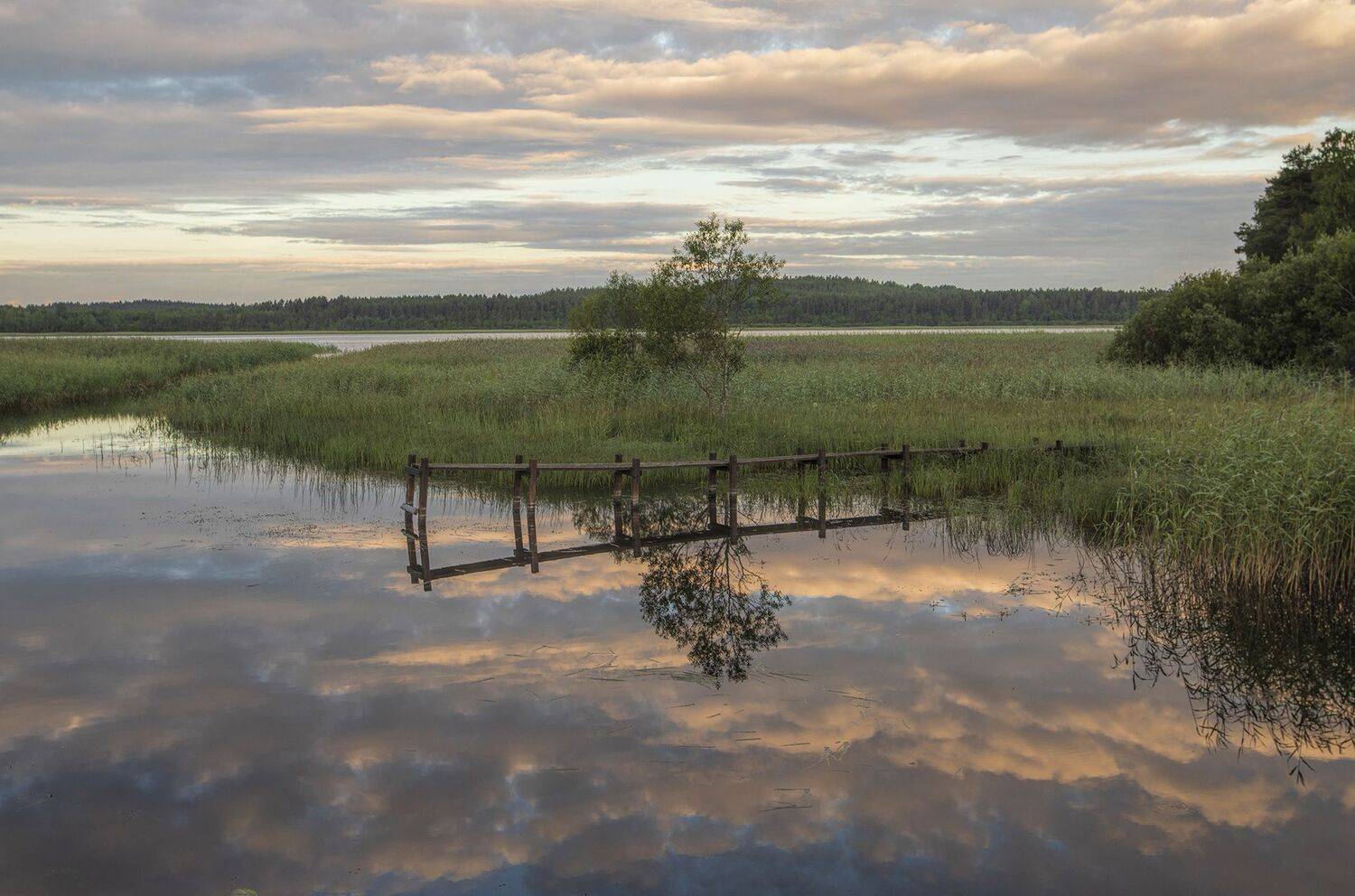 ладога,шхеры,койонсаари, alexOmRam