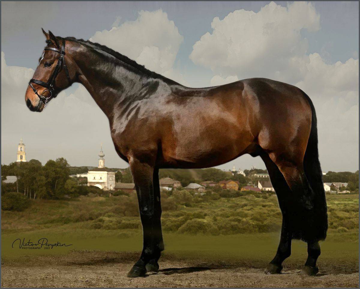 , Виктор Перякин