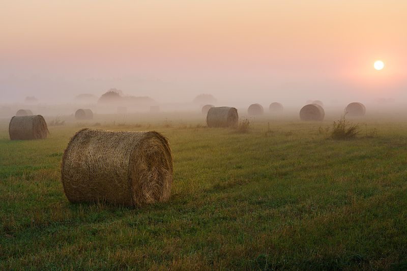 Тихое летнее утро фото превью