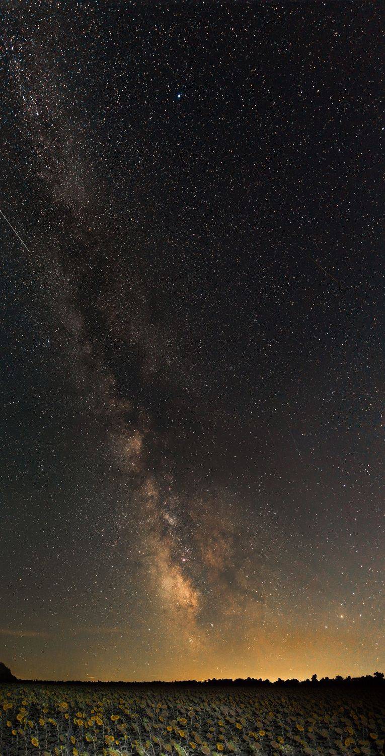 , Викулов Николай