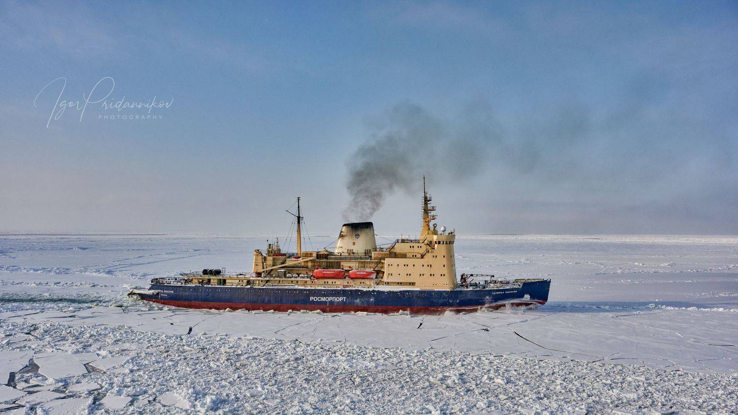 ледоколы, рёд, арктика, адмирал макаров, Игорь Приданников