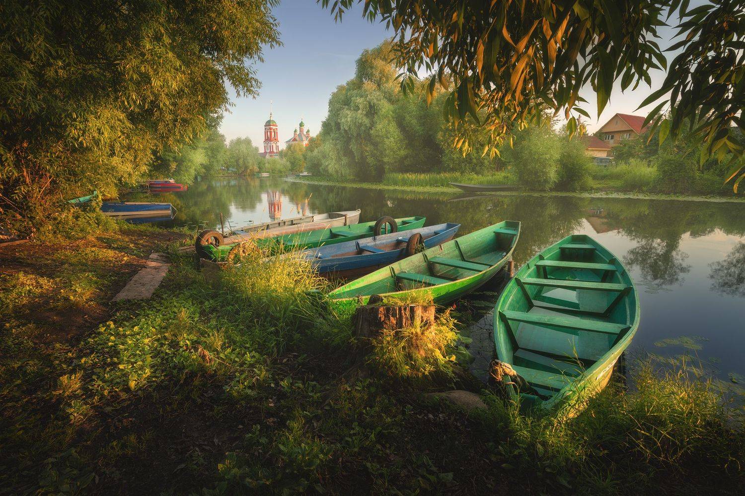 , Анна Политова