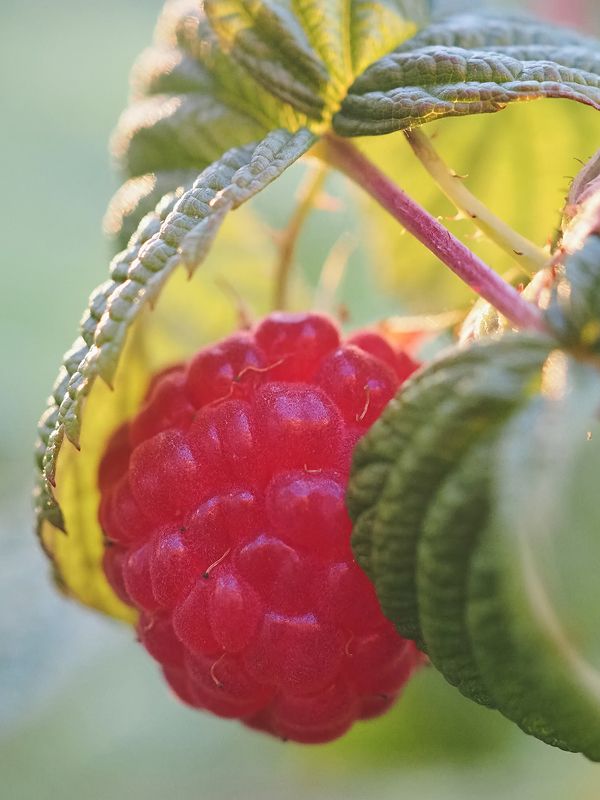 В укрытии фото превью