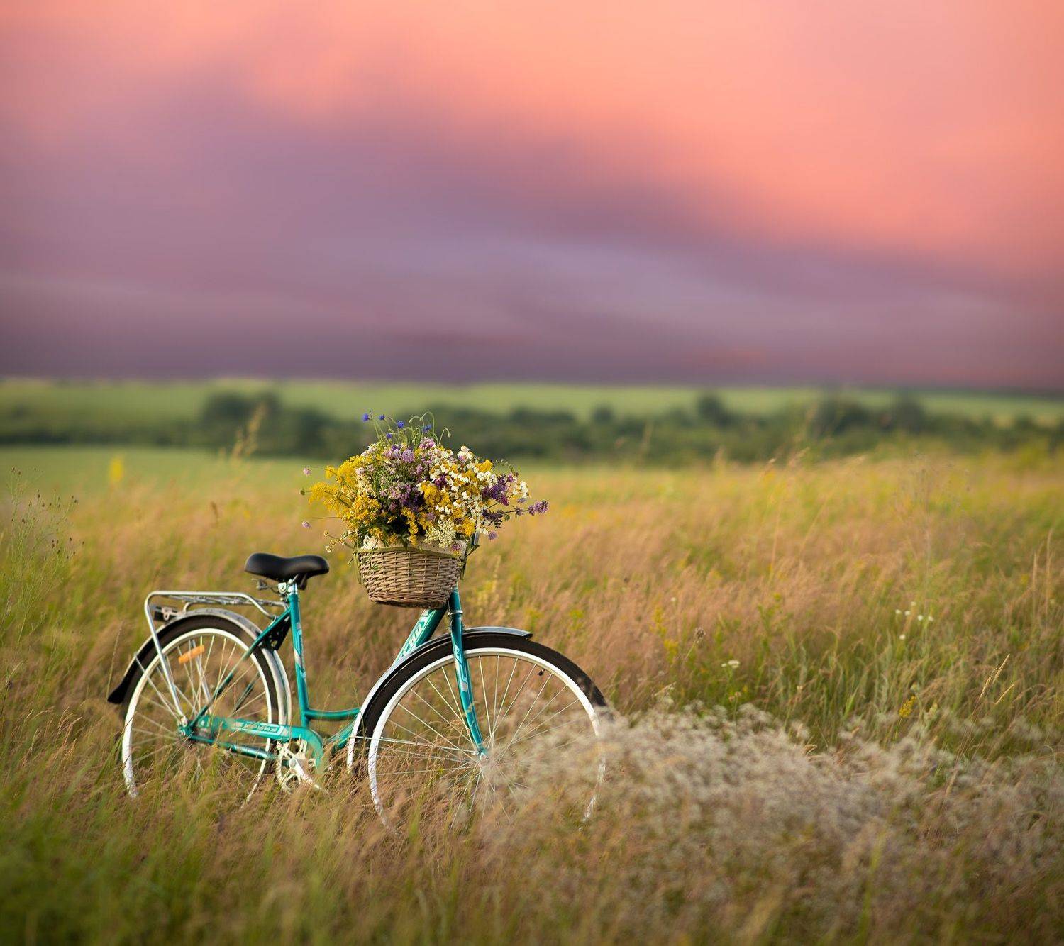 пейзаж, степь, закат, лето, июнь, landscape, summer, steppe, Алексей Юденков
