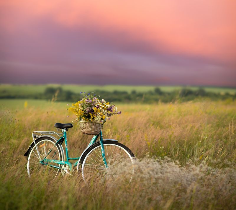 пейзаж, степь, закат, лето, июнь, landscape, summer, steppe Я буду долго гнать велосипед... фото превью