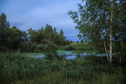 Летний вечер