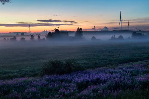 По пути в Нарву