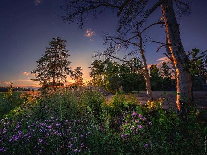 Ленобласть фото превью