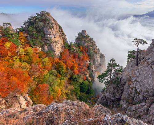 Осень в Крыму.