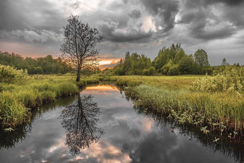 Река Явань фото превью