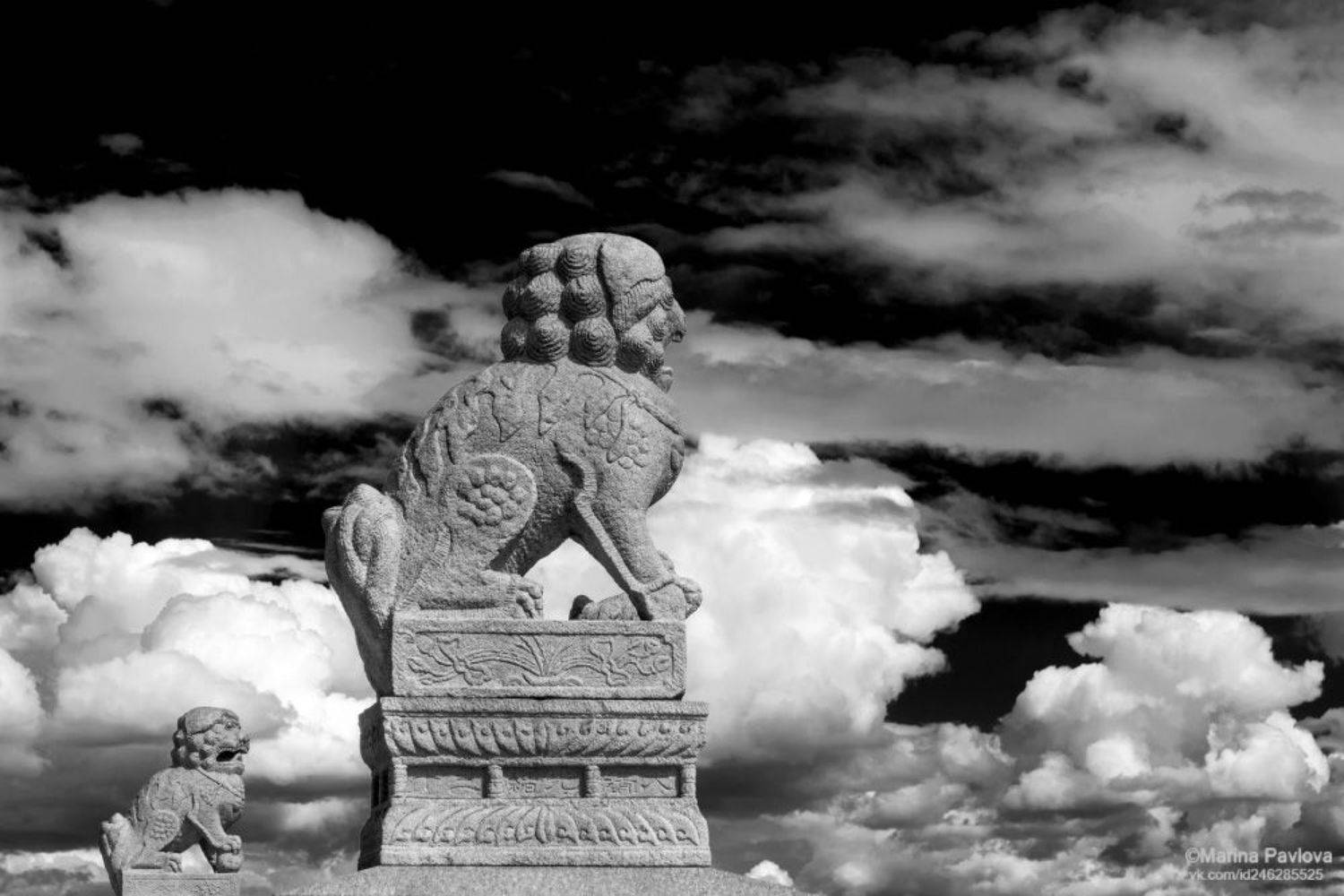 город, архитектура, скульптура, львы-стражи ши-цза, санкт-петербург, мистический петербург, петровская набережная, чёрно-белоефото, ч.б.фото, монохром, парейдолия, абстракция,nikon, Павлова Марина