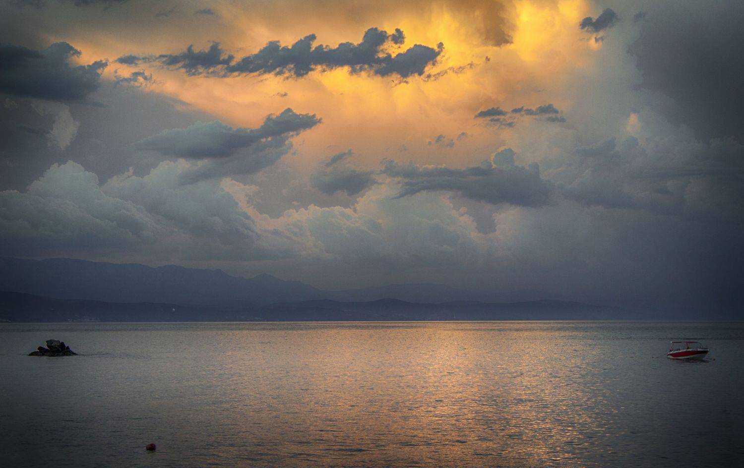 , Игорь Вишневский