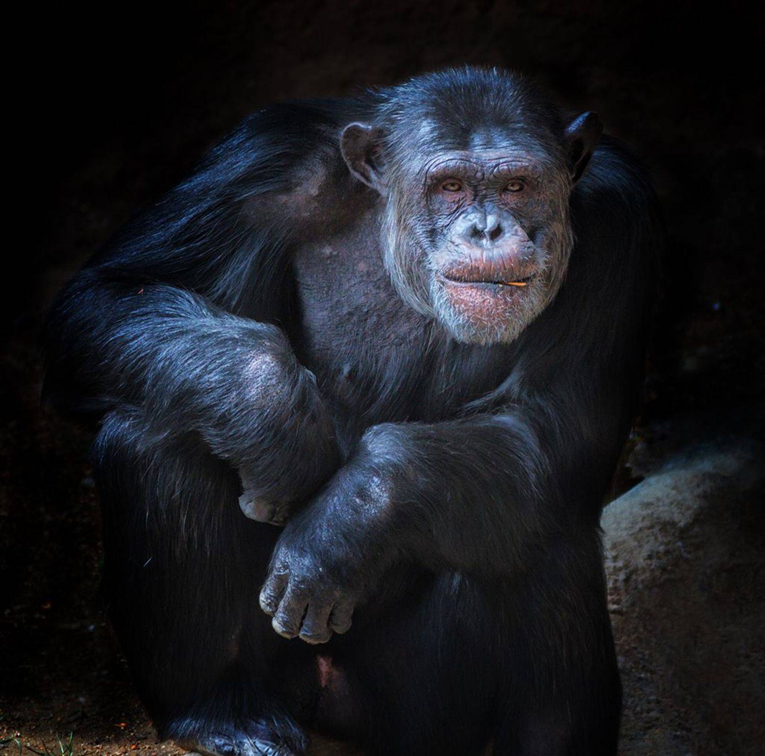 , Антипов Игорь