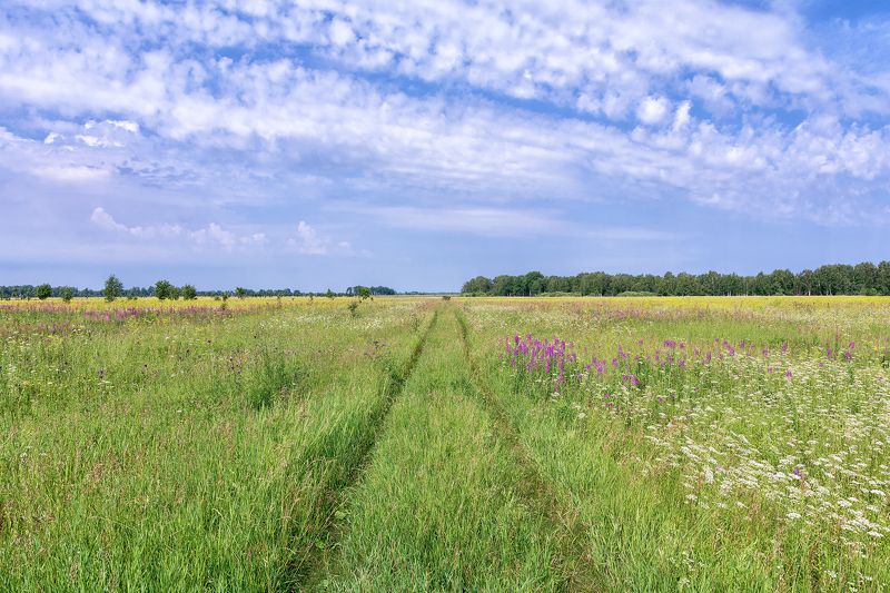 природа, пейзаж, Родные просторы.. фото превью