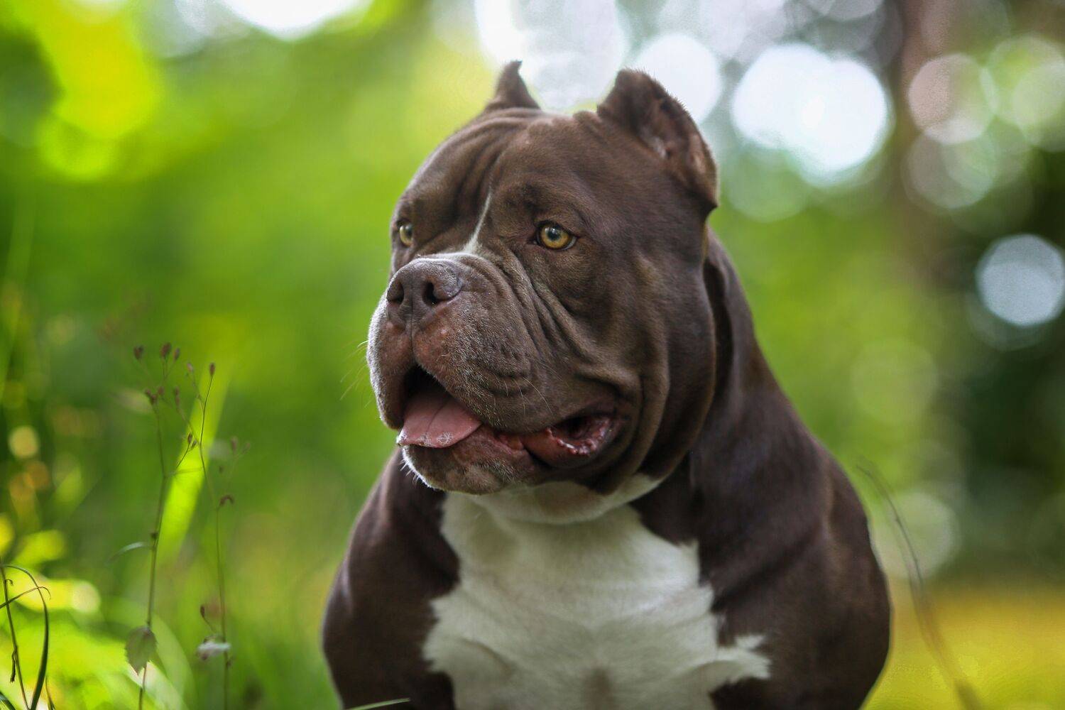 , Андрей Ершов